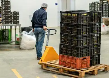 無(wú)錫水果批發(fā)市場(chǎng)商戶(hù)們用手動(dòng)液壓搬運(yùn)車(chē)搬運(yùn)貨物